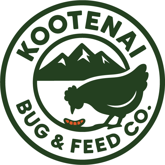 Kootenai Bug & Feed Co