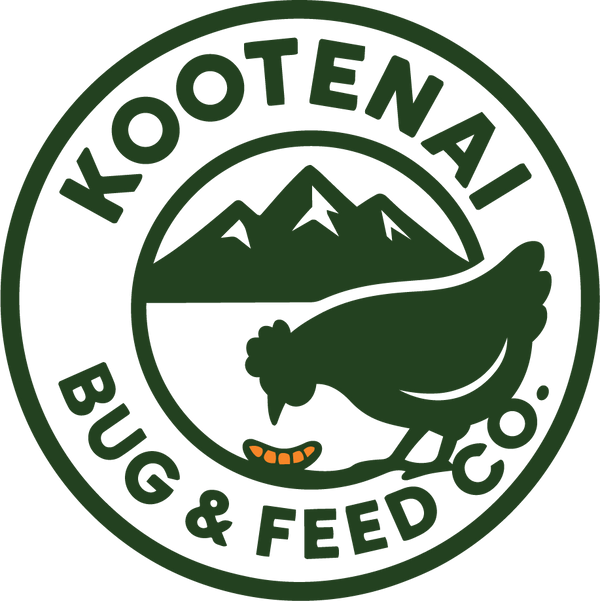 Kootenai Bug & Feed Co